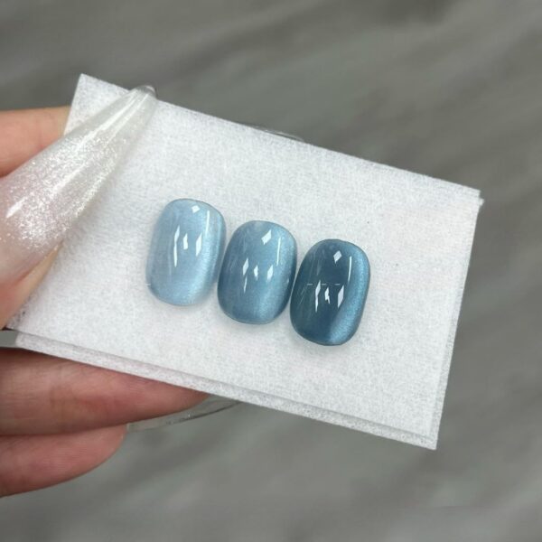 Version 1.0.0 ADHERE 12ml 5pcs Cat Eye Gel Kit with Magnetic Stick, Cat Eye Gel Polish Holographic Glitter UV LED Nail Varnish for Nail Salon DIY Design