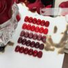 Version 1.0.0 ADHERE 12ml 5pcs Red Gel Nail Polish Kit with Magnetic Stick, Cat Eye Gel Polish Holographic Glitter UV LED Nail Varnish for Nail Salon DIY Design
