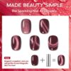 Version 1.0.0 ADHERE 12ml 5pcs Red Gel Nail Polish Kit with Magnetic Stick, Cat Eye Gel Polish Holographic Glitter UV LED Nail Varnish for Nail Salon DIY Design