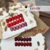 Version 1.0.0 ADHERE 12ml 5pcs Red Gel Nail Polish Kit with Magnetic Stick, Cat Eye Gel Polish Holographic Glitter UV LED Nail Varnish for Nail Salon DIY Design