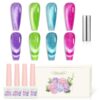 Version 1.0.0 Adhere 12ml 4 Colors Magnetic Nail Polish Gel Set Cat Eye Gel Nail Polish Soak Off Magnetic Varnish Green Rose Red Purple Blue