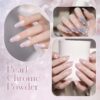 Version 1.0.0 ADHERE 5pcs Pearl Series, 3 Pearl Chrome Powder + 1 Dark Purple Mirror Chrome Nail Powder + 1 Glitter, Holographic Shimmer Pearlescent Finish & Mirror Metallic Shine