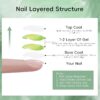 Version 1.0.0 Adhere 12ml 4 Colors Magnetic Nail Polish Gel Set Cat Eye Gel Nail Polish Soak Off Magnetic Varnish Green Rose Red Purple Blue