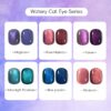 Version 1.0.0 Adhere 12ml 6pcs Cat Eye Magnetic Nail Polish Gel Set with Magnet Fine and Smooth Glitter Cat Eye Gel Nail Polish Soak Off Magnetic Varnish